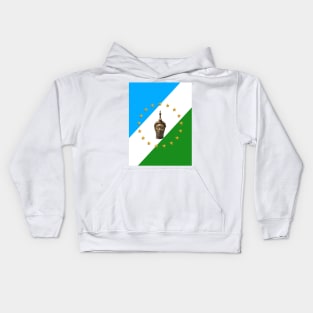 Yoruba Nation Flag | Oduduwa Republic Flag | Oduduwa Nation Flag Kids Hoodie